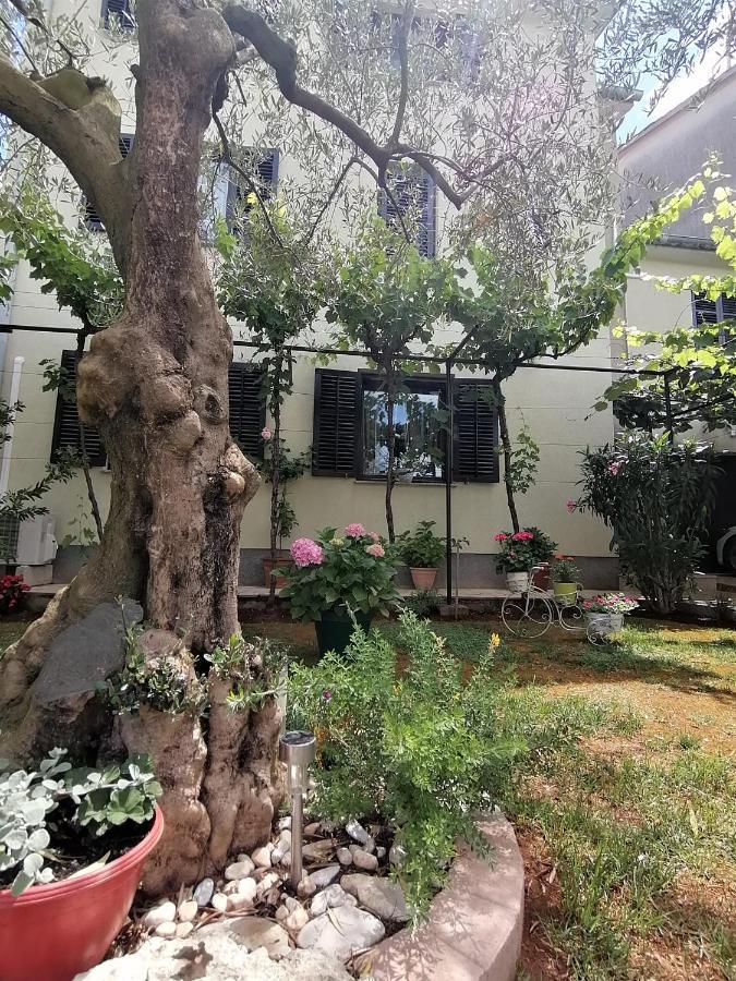 Apartment Oliva 普拉 外观 照片
